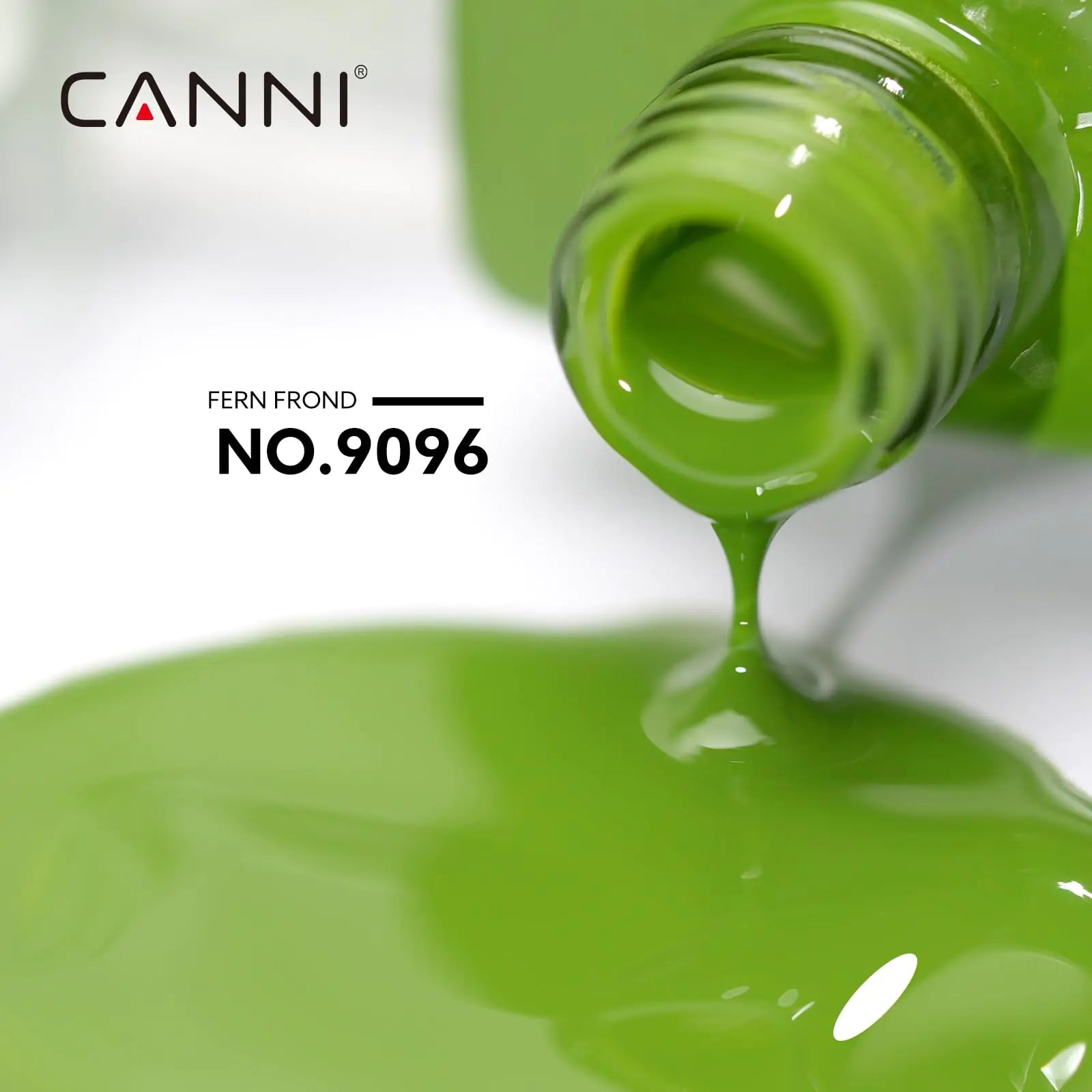 CANNI Pastel Green Gel Nail Polish - High Gloss, Soak - Off UV Formula - GNS Beauty & Personal Care