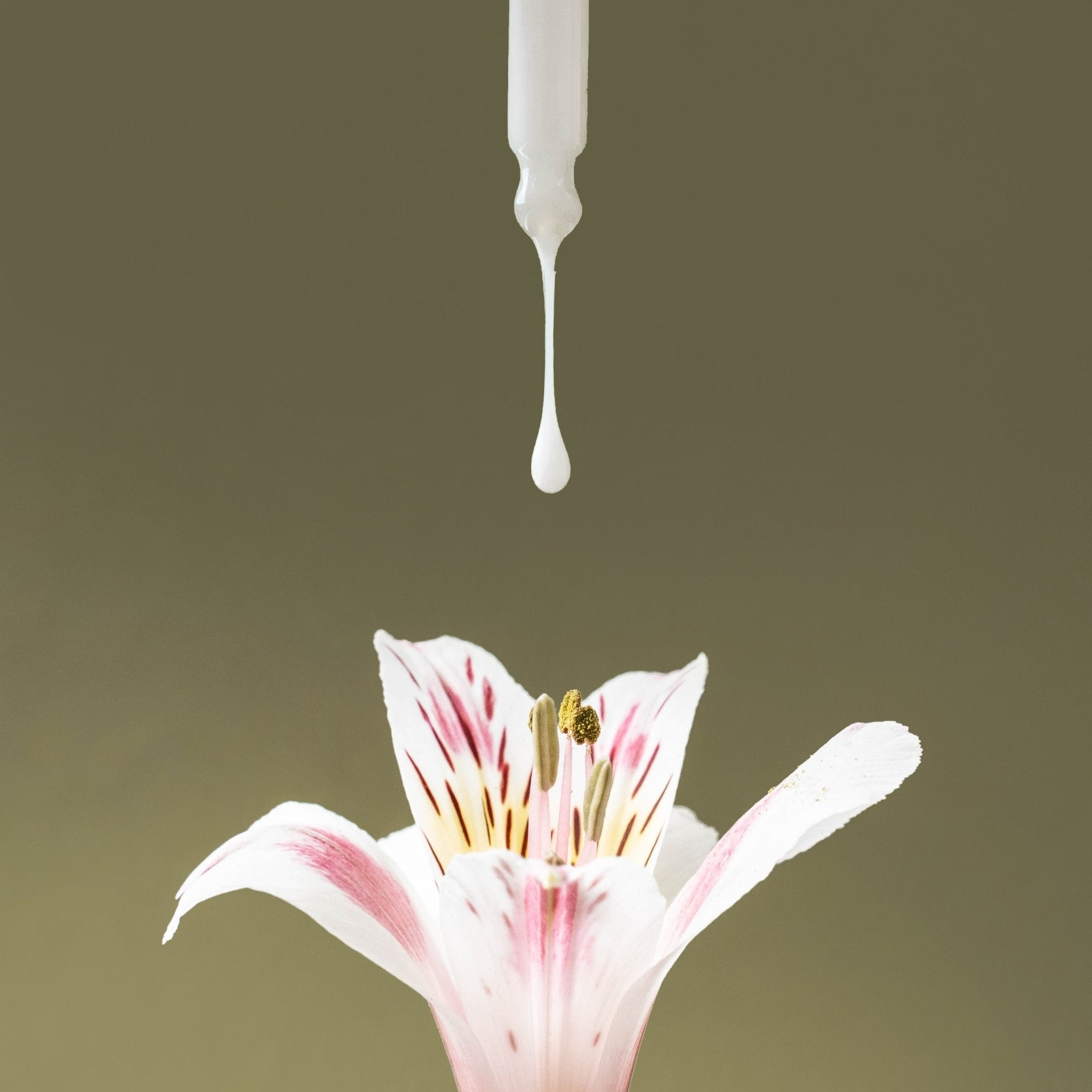 IDEO Skincare Skin Memory Serum - Advanced Anti - Aging Treatment for All 8 Signs of Aging - GNS Beauty & Personal Care