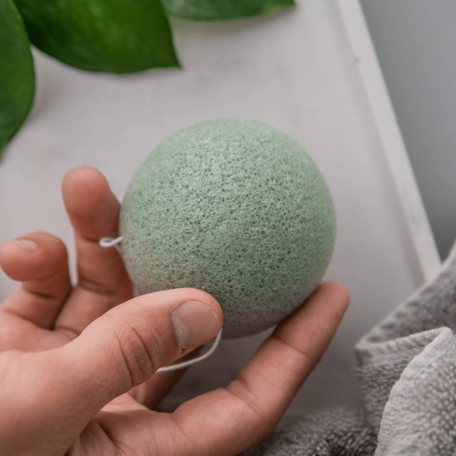 Konjac Sponge Set, 5 - Pack — Gentle, Biodegradable Cleansing - GNS Beauty & Personal Care