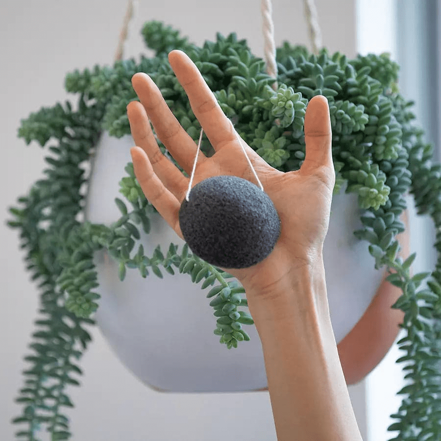 Natural Face Exfoliator - Konjac Facial Sponge with Charcoal - GNS Beauty & Personal Care