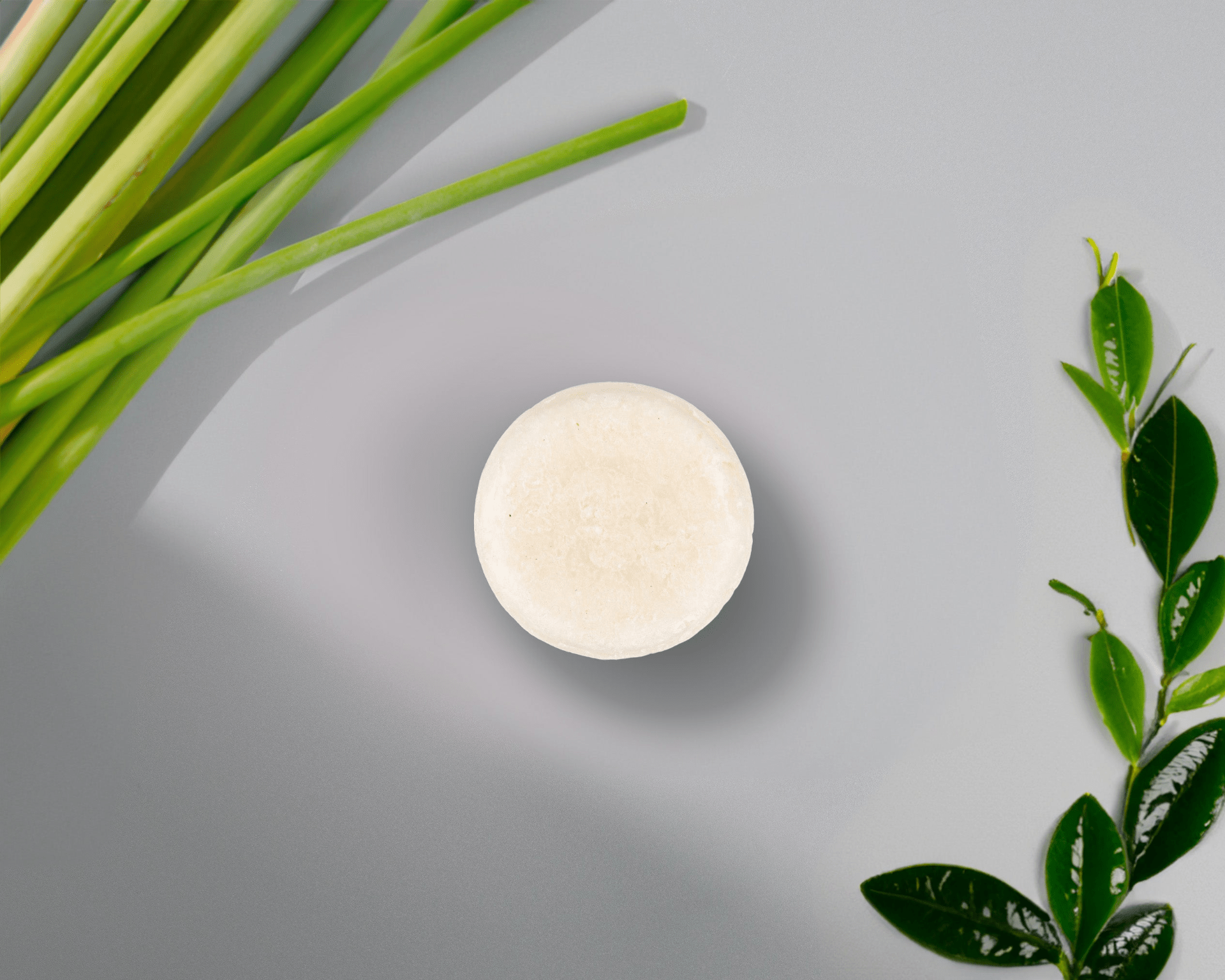 Natural Shampoo Bar for Hair – Eco - Friendly, Nourishing - GNS Beauty & Personal Care