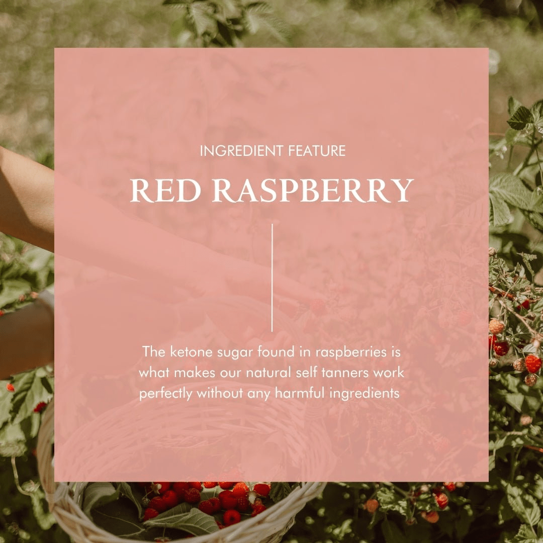 Organic Skin Firming Serum with DMAE + Alpha Lipoic - GNS Beauty & Personal Care