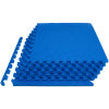 ProsourceFit Exercise Puzzle Mat 0.75" – Protective, Cushioned Flooring for Home & Gym Workouts - GNS Beauty & Personal Care