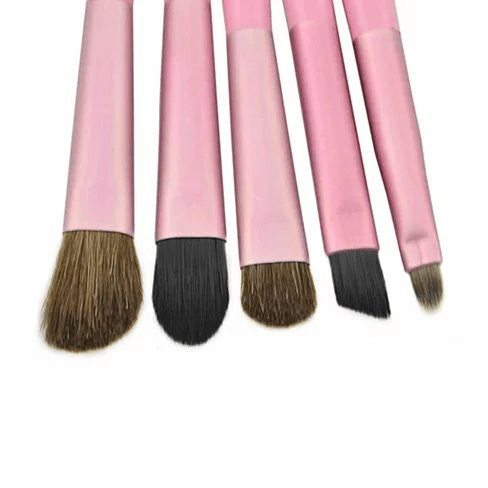 Travel Makeup Brush Set with Compact Travel Case - 5 - Piece Cosmetic Kit - GNS Beauty & Personal Care