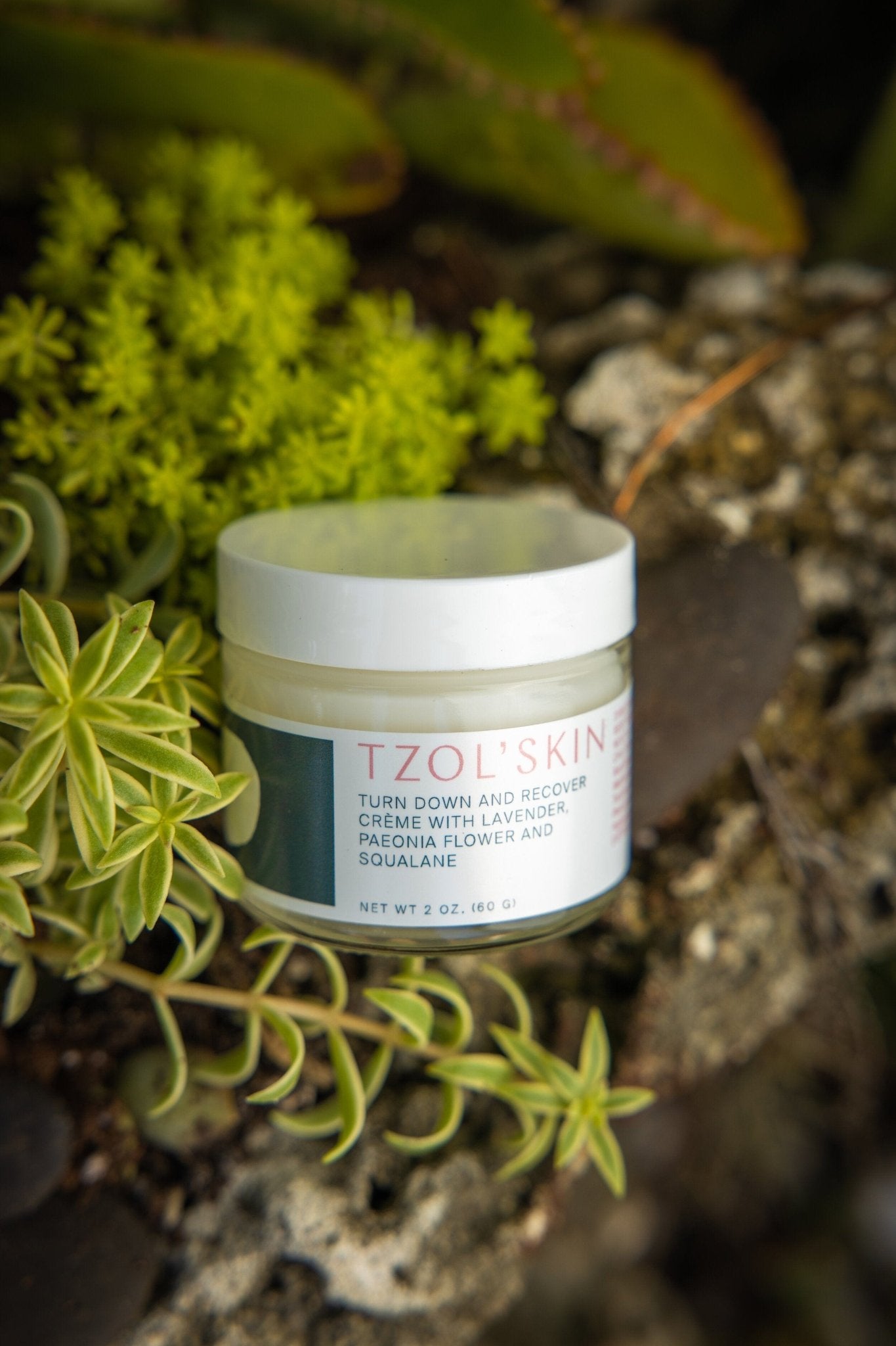 Turn Down and Recover Creme with Lavender, Paeonia flower & Squalane - GNS Beauty & Personal Care