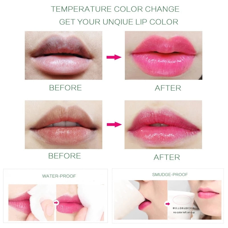 Aloe Vera Lip Balm – Hydration and Personalized Tint