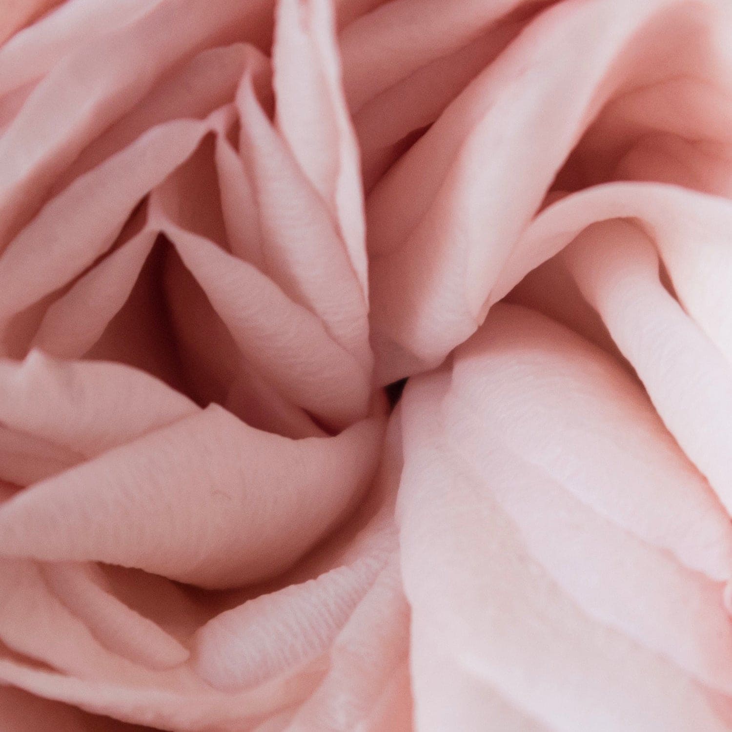 Cielo Cleanser - GNS Beauty & Personal Care