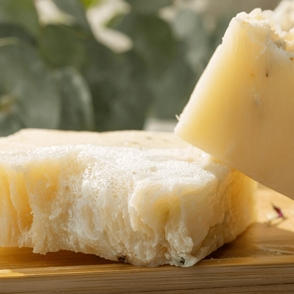 Natural Citrus Spa Gift Set for Women by Lizush - GNS Beauty & Personal Care