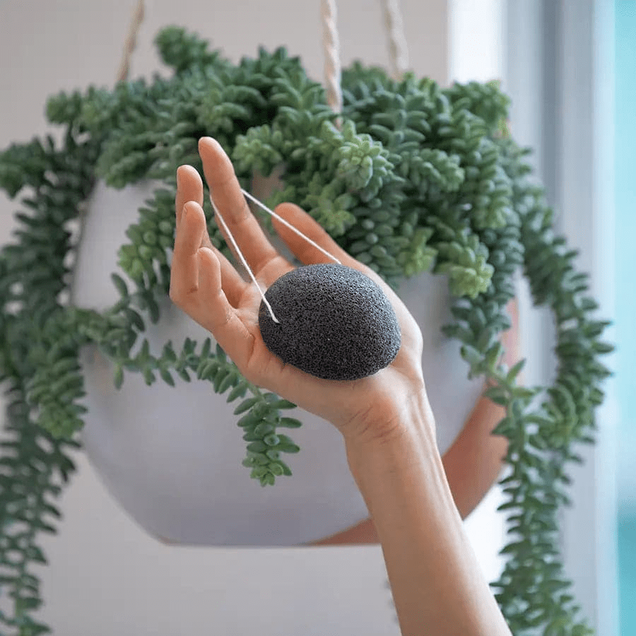 Natural Face Exfoliator - Konjac Facial Sponge with Charcoal - GNS Beauty & Personal Care