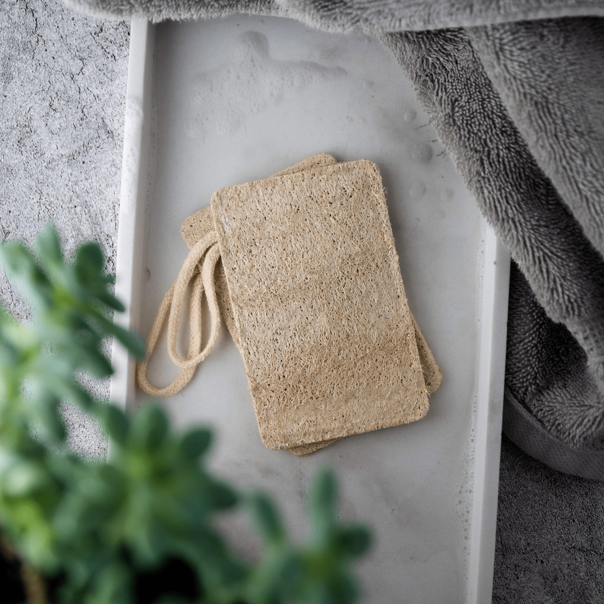 Natural Loofah Pad 2 - Pack – Eco - Friendly Exfoliation for Radiant Skin - GNS Beauty & Personal Care