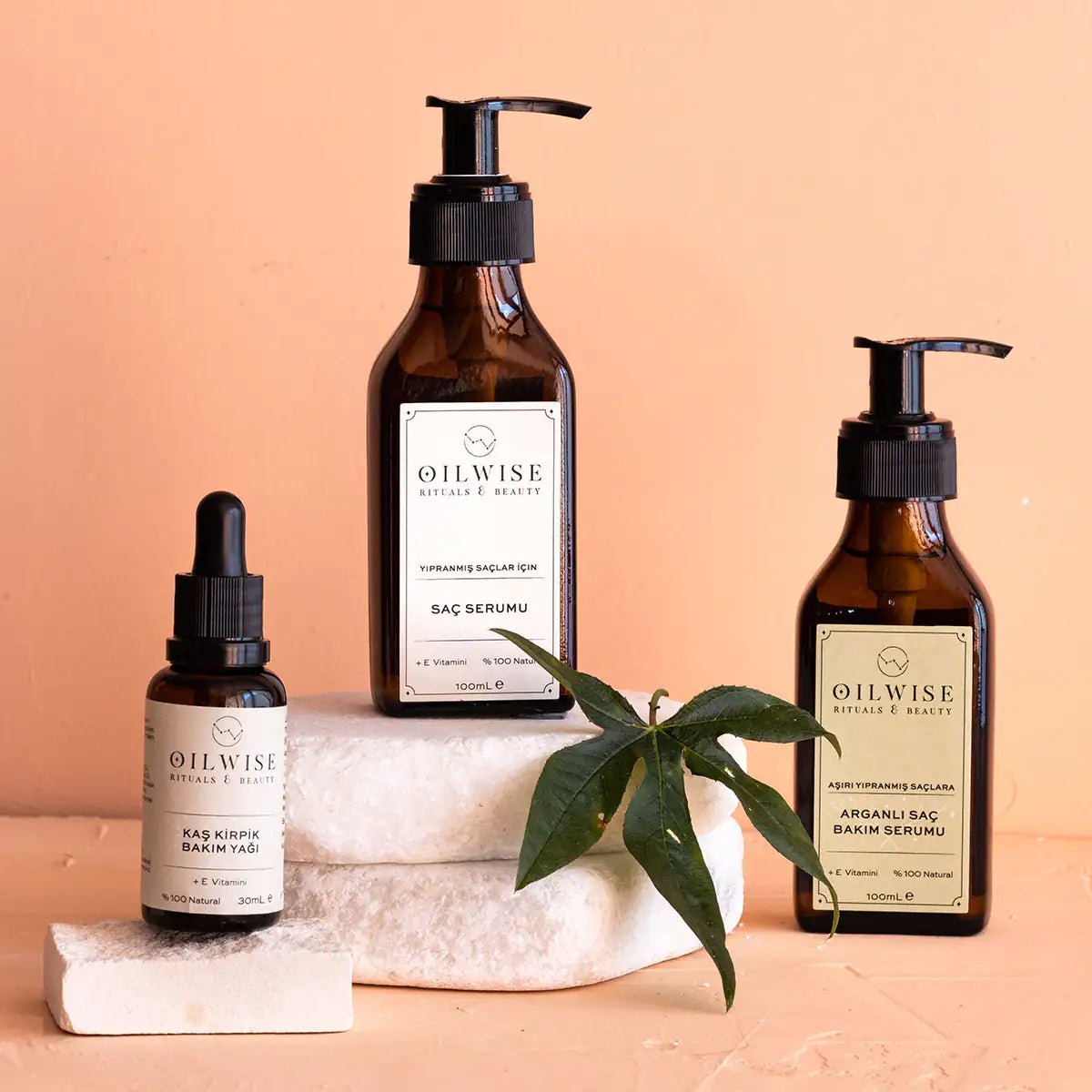 Oilwise Nourish Lock Hair Serum with Natural Oils - GNS Beauty & Personal Care