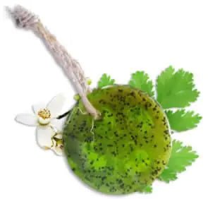 Speckless Soap Bar – Chia, Lemon, Parsley & Coconut Oil for Clear, Balanced Skin - GNS Beauty & Personal Care