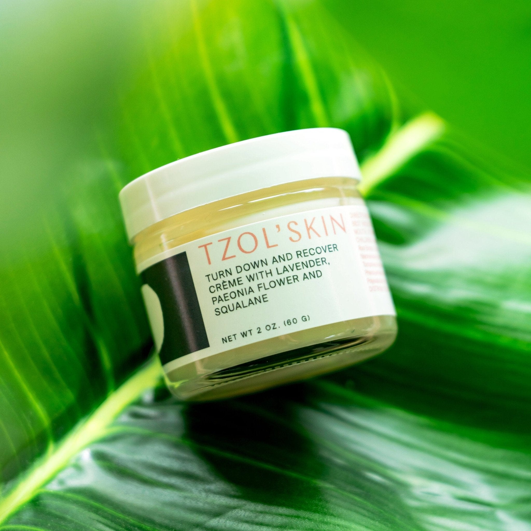 Turn Down and Recover Creme with Lavender, Paeonia flower & Squalane - GNS Beauty & Personal Care