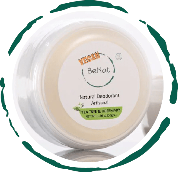 Vegan Deodorant Cream – Pure Protection with 8 Natural Ingredients - GNS Beauty & Personal Care